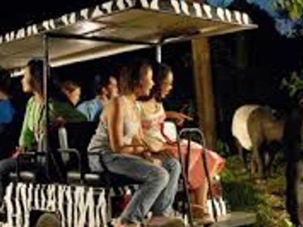 Singapore Night Safari Tram Ride (Shared Transfer)
